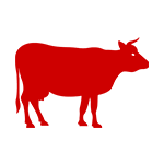 Minhaj Welfare Danmark
