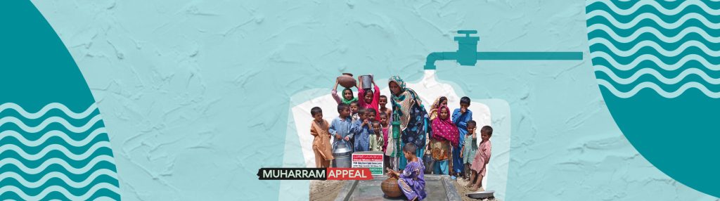 Minhaj Welfare Danmark