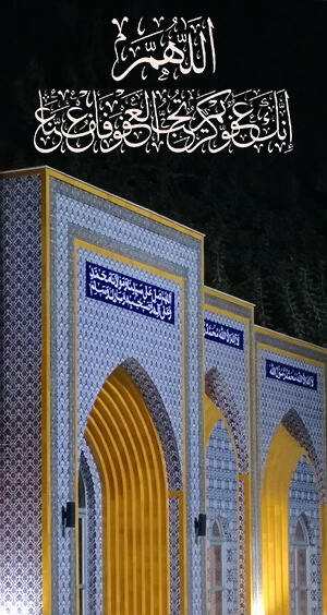 Minhaj Welfare Danmark