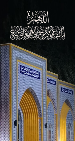 Minhaj Welfare Danmark