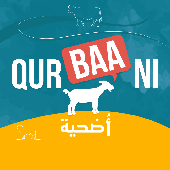 Minhaj Welfare Danmark