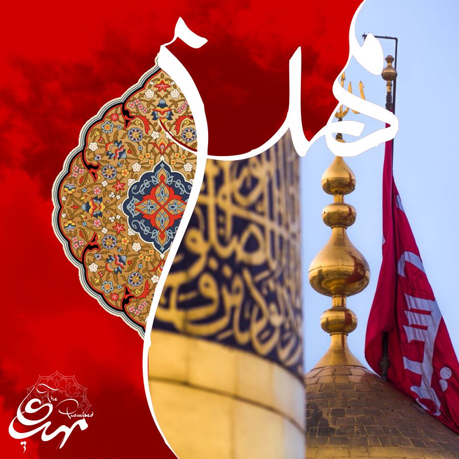 Minhaj Welfare Danmark